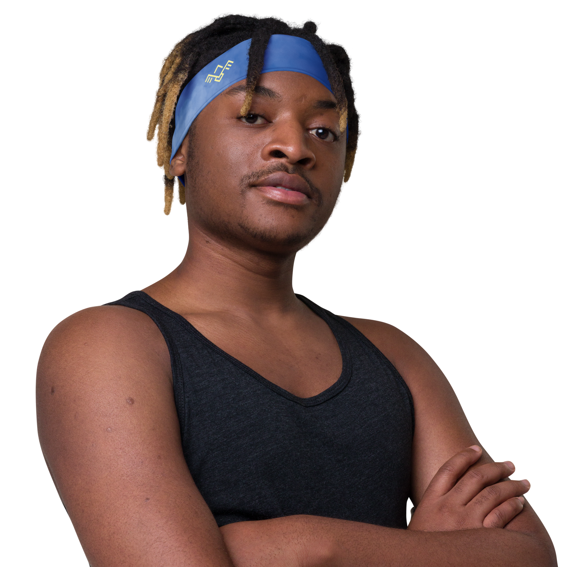 StylishHeadBand_Phoenix Rising_BlueberryTwist_StarBitsPortal